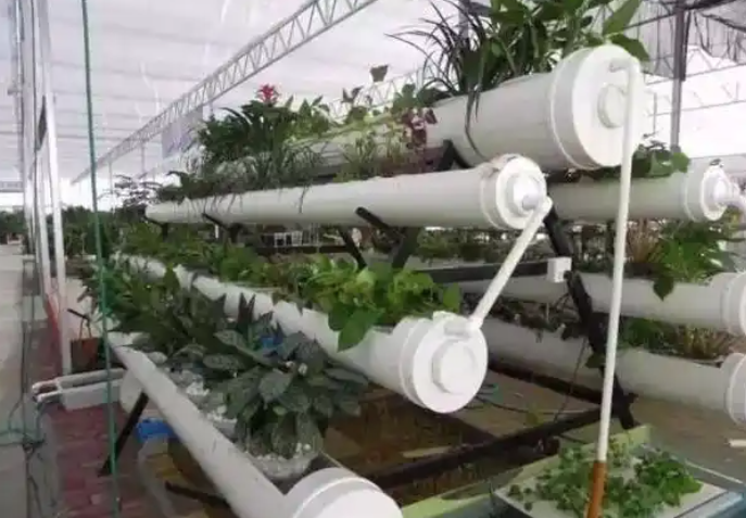 ScreenShot_2026-03-04_141240_978 ScreenShot_2026-03-04_141240_978